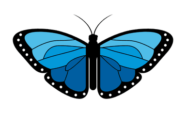 Blue Butterfly