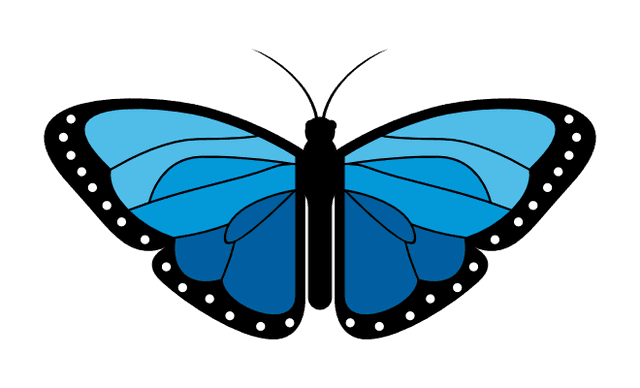 Blue Butterfly